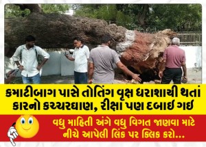 કમાટીબાગ પાસે તોતિંગ વૃક્ષ ધરાશાયી થતાં કારનો કચ્ચરઘાણ, રીક્ષા પણ દબાઇ ગઇ