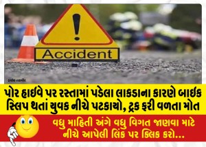 પોર હાઇવે પર રસ્તામાં પડેલા લાકડાના કારણે બાઇક સ્લિપ થતાં યુવક નીચે પટકાયો, ટ્રક ફરી વળતા મોત