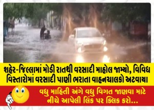 શહેર-જિલ્લામાં મોડી રાતથી વરસાદી માહોલ જામ્યો, વિવિધ વિસ્તારોમાં વરસાદી પાણી ભરાતા વાહનચાલકો અટવાયા