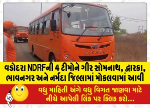 વડોદરા NDRFની 4 ટીમોને ગીર સોમનાથ, દ્વારકા, ભાવનગર અને નર્મદા જિલ્લામાં મોકલવામાં આવી