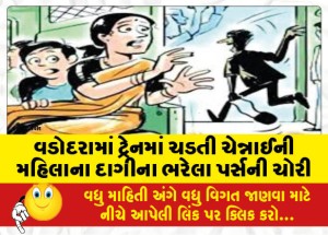 વડોદરામાં ટ્રેનમાં ચડતી ચેન્નાઈની મહિલાના દાગીના ભરેલા પર્સની ચોરી