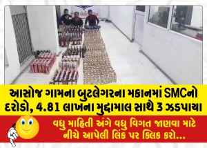 આસોજ ગામના બુટલેગરના મકાનમાં SMCનો દરોડો, 4.81 લાખના મુદ્દામાલ સાથે 3 ઝડપાયા