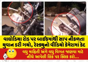 વાઘોડિયા રોડ પર બાઈકમાંથી સાપ નીકળતા યુવાન ડરી ગયો, રેસ્ક્યુનો વીડિયો કેમેરામાં કેદ