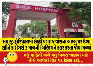 સયાજી હોસ્પિટલમાં સેફ્ટી વગર જ વાંસના બામ્બુ પર ઉભા રહીને કારીગરો 3 માળની બિલ્ડિંગને કલર કરતા જોવા મળ્યાં