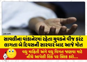 સાવલીના વાંકાનેરમાં રહેતા યુવકને વીજ કરંટ લાગતા બે દિવસની સારવાર બાદ આજે મોત