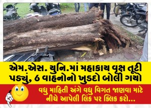 એમ.એસ. યુનિ.માં મહાકાય વૃક્ષ તૂટી પડ્યું, 6 વાહનોનો ખુડદો બોલી ગયો