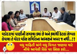 વડોદરામાં પાણીની સમસ્યા ક્યાં છે અને ક્યાંથી કેટલાં સેમ્પલ લેવાયા તે વોટર વર્કસ સમિતિના અધ્યક્ષને ખબર જ નથી..!?