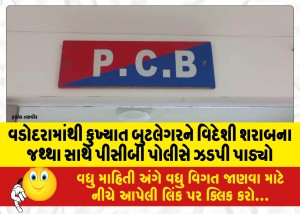 વડોદરામાંથી કુખ્યાત બુટલેગરને વિદેશી શરાબના જથ્થા સાથે પીસીબી પોલીસે ઝડપી પાડ્યો