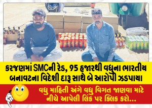 કરજણમાં SMCની રેડ, 95 હજારથી વધુના ભારતીય બનાવટના વિદેશી દારૂ સાથે બે આરોપી ઝડપાયા
