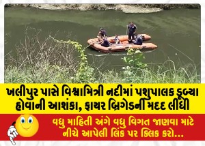 ખલીપુર પાસે વિશ્વામિત્રી નદીમાં પશુપાલક ડૂબ્યા હોવાની આશંકા, ફાયર બ્રિગેડની મદદ લીધી