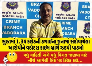 સુરતમાં 1.34 કરોડની ઠગાઈના ગુનામાં સંડોવાયેલા આરોપીને વડોદરા ક્રાઇમ બ્રાંચે ઝડપી પાડ્યો