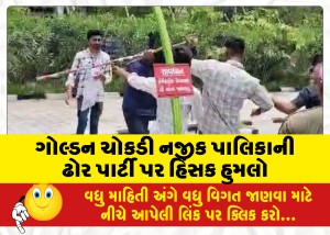 ગોલ્ડન ચોકડી નજીક પાલિકાની ઢોર પાર્ટી પર હિંસક હુમલો