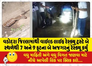 વડોદરા જિલ્લામાંથી વાઇલ્ડ લાઇફ રેસ્ક્યુ ટ્રસ્ટે બે સ્થળેથી 7 અને 9 ફૂટના બે અજગરનું રેસ્ક્યૂ કર્યું