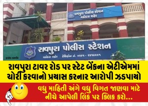 રાવપુરા ટાવર રોડ પર સ્ટેટ બેંકના એટીએમમાં ચોરી કરવાનો પ્રયાસ કરનાર આરોપી ઝડપાયો