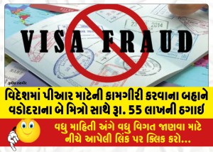 વિદેશમાં પીઆર માટેની કામગીરી કરવાના બહાને વડોદરાના બે મિત્રો સાથે રૂા. 55 લાખની ઠગાઇ