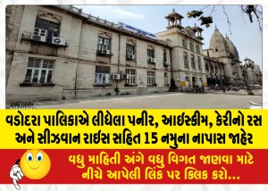 વડોદરા પાલિકાએ લીધેલા પનીર, આઇસ્કીમ, કેરીનો રસ અને સીઝવાન રાઇસ સહિત 15 નમુના નાપાસ જાહેર
