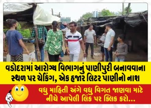 વડોદરામાં આરોગ્ય વિભાગનું પાણીપુરી બનાવવાના સ્થળ પર ચેકિંગ, એક હજાર લિટર પાણીનો નાશ