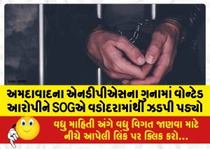 અમદાવાદના એનડીપીએસના ગુનામાં વોન્ટેડ આરોપીને SOGએ વડોદરામાંથી ઝડપી પડ્યો
