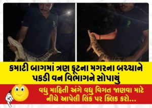 કમાટી બાગમાં ત્રણ ફૂટના મગરના બચ્ચાને પકડી વન વિભાગને સોપાયું