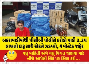 બકરાવાડીમાંથી પીસીબી પોલીસે દરોડો પાડી ૩.૩૫ લાખનો દારૂ સાથે એકને ઝડપ્યો, 4 વોન્ટેડ જાહેર