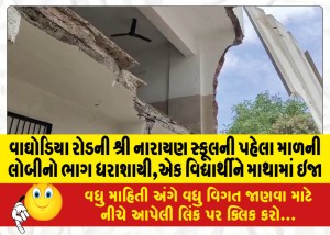 વાઘોડિયા રોડની શ્રી નારાયણ સ્કૂલની પહેલા માળની લોબીનો ભાગ ધરાશાયી,એક વિદ્યાર્થીને માથામાં ઇજા