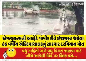 એમ્બ્યુલન્સની અડફેટે ગંભીર રીતે ઇજાગ્રસ્ત થયેલા 66 વર્ષીય એક્ટિવાચાલકનું સારવાર દરમિયાન મોત