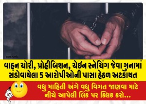 વાહન ચોરી, પ્રોહીબિશન, ચેઇન સ્નેચિંગ જેવા ગુનામાં સંડોવાયેલા 5 આરોપીઓની પાસા હેઠળ અટકાયત