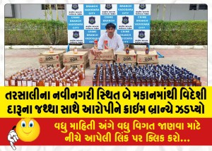 તરસાલીના નવીનગરી સ્થિત બે મકાનમાંથી વિદેશી દારૂના જથ્થા સાથે આરોપીને ક્રાઇમ બ્રાન્ચે ઝડપ્યો