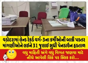 વડોદરામાં લેન્ડ રેકર્ડ વર્ગ-3ના કર્મીઓની બાકી પડતર માંગણીઓને લઇને 31 જુલાઇ સુધી પેનડાઉન હડતાળ