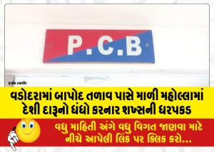 વડોદરામાં બાપોદ તળાવ પાસે માળી મહોલ્લામાં દેશી દારૂનો ધંધો કરનાર શખ્સની ધરપકડ