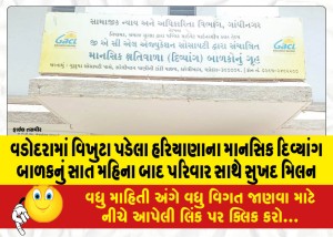 વડોદરામાં વિખુટા પડેલા હરિયાણાના માનસિક દિવ્યાંગ બાળકનું સાત મહિના બાદ પરિવાર સાથે સુખદ મિલન