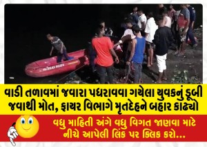 વાડી તળાવમાં જવારા પધરાવવા ગયેલા યુવકનું ડૂબી જવાથી મોત, ફાયર વિભાગે મૃતદેહને બહાર કાઢ્યો