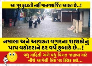 નમાલા અને આવડત વગરના શાશકોનું પાપ વડોદરાને દર વર્ષે ડુબાડે છે..!