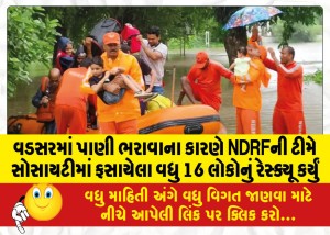 વડસરમાં પાણી ભરાવાના કારણે NDRFની ટીમે સોસાયટીમાં ફસાયેલા વધુ 16 લોકોનું રેસ્ક્યૂ કર્યું