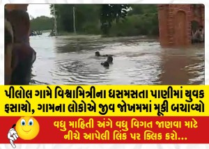 પીલોલ ગામે વિશ્વામિત્રીના ધસમસતા પાણીમાં યુવક ફસાયો, ગામના લોકોએ જીવ જોખમમાં મૂકી બચાવ્યો