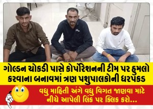 ગોલ્ડન ચોકડી પાસે કોર્પોરેશનની ટીમ પર હુમલો કરવાના બનાવમાં ત્રણ પશુપાલકોની ધરપકડ