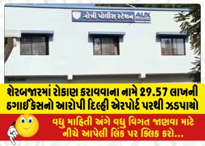 શેરબજારમાં રોકાણ કરાવવાના નામે 29.57 લાખની ઠગાઈ કેસનો આરોપી દિલ્હી એરપોર્ટ પરથી ઝડપાયો