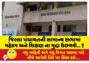 જિલ્લા પંચાયતની સામાન્ય સભામાં મહેકમ અને શિક્ષણ ના મુદ્દા ઉછળશે..?