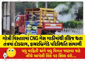 ગોત્રી વિસ્તારમાં CNG ગેસ ગાડીમાંથી લીકેજ થતા તંત્રમાં દોડધામ, ફાયરબ્રિગેડે પરિસ્થિતિ સંભાળી