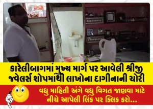 કારેલીબાગમાં મુખ્ય માર્ગ પર આવેલી શ્રીજી જ્વેલર્સ શોપમાંથી લાખોના દાગીનાની ચોરી