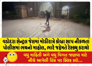 વડોદરા સેન્ટ્રલ જેલમાં મોડીરાત્રે કોબ્રા સાપ નીકળતાં પોલીસમાં ભયનો માહોલ, ભારે જહેમતે રેસ્ક્યુ કરાયો