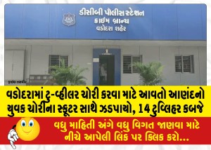 વડોદરામાં ટુ-વ્હીલર ચોરી કરવા માટે આવતો આણંદનો યુવક ચોરીના સ્કૂટર સાથે ઝડપાયો, 14 ટુવ્લિહર કબજે