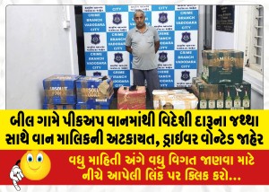 બીલ ગામે પીકઅપ વાનમાંથી વિદેશી દારૂના જથ્થા સાથે વાન માલિકની અટકાયત, ડ્રાઇવર વોન્ટેડ જાહેર