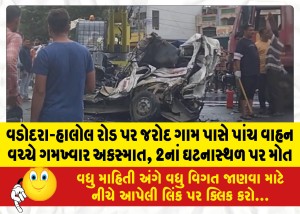 વડોદરા-હાલોલ રોડ પર જરોદ ગામ પાસે પાંચ વાહન વચ્ચે ગમખ્વાર અકસ્માત, 2નાં ઘટનાસ્થળ પર મોત
