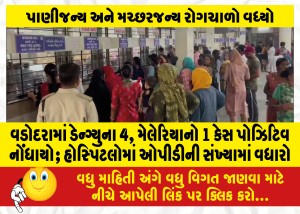 વડોદરામાં ડેન્ગ્યુના 4, મેલેરિયાનો 1 કેસ પોઝિટિવ નોંધાયો; હોસ્પિટલોમાં ઓપીડીની સંખ્યામાં વધારો