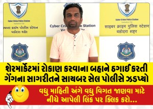 શેરમાર્કેટમાં રોકાણ કરવાના બહાને ઠગાઈ કરતી ગેંગના સાગરીતને સાયબર સેલ પોલીસે ઝડપ્યો