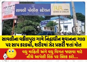 સાવલીના વકીલપુરા ગામે નિંદ્રાધીન યુવાનના ગાલ પર સાપ કરડ્યો, શરીરમાં ઝેર પ્રસરી જતાં મોત