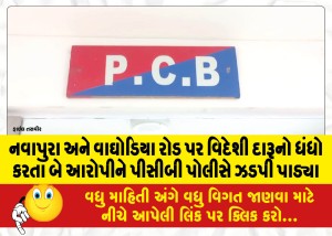 નવાપુરા અને વાઘોડિયા રોડ પર વિદેશી દારૂનો ધંધો કરતા બે આરોપીને પીસીબી પોલીસે ઝડપી પાડ્યા