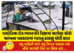 વાઘોડિયા રોડ ભરબપોરે રિક્ષામાં આવેલા ચોરો આંખના પલકારામાં ગટરનું ઢાંકણું ચોરી ફરાર