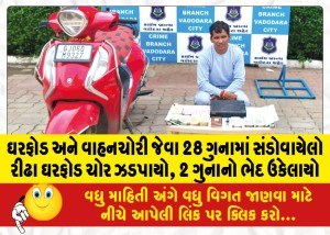 ઘરફોડ અને વાહનચોરી જેવા 28 ગુનામાં સંડોવાયેલો રીઢા ઘરફોડ ચોર ઝડપાયો, 2 ગુનાનો ભેદ ઉકેલાયો